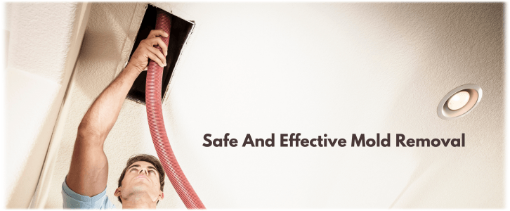 Air Duct Mold Removal in Chicago