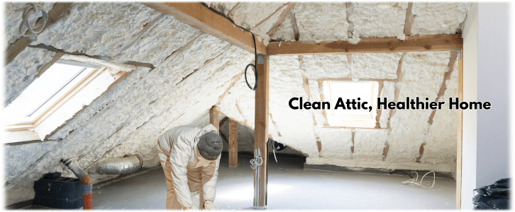 Attic Cleaning Chicago