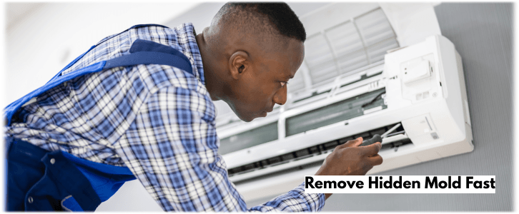 HVAC Mold Removal Chicago